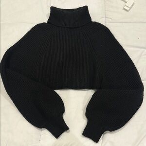 Cropped Turtleneck Sweater
